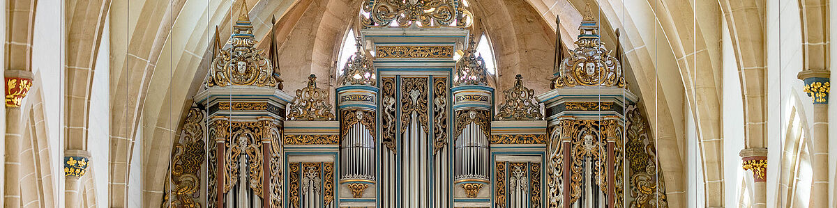 Orgel Predigerkirche Erfurt: Foto: Matthias F. Schmidt